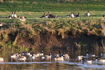 coverpic240.jpg - 38Kb