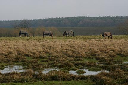 coverpic241.jpg - 22Kb