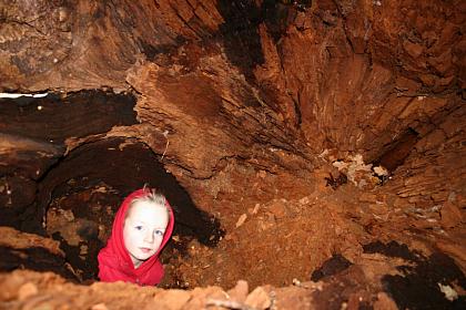 coverpic244.jpg - 30Kb