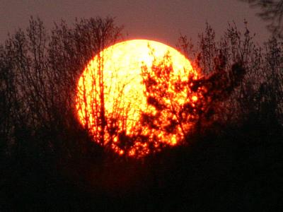 coverpic249.jpg - 19Kb