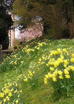 coverpic250.jpg - 47Kb