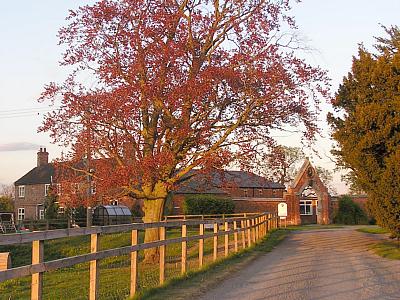 coverpic254.jpg - 43Kb