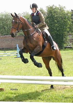 coverpic259.jpg - 35Kb