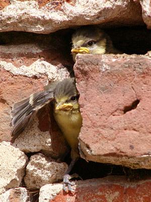 coverpic260.jpg - 30Kb