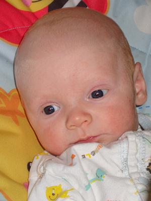 coverpic269.jpg - 15Kb