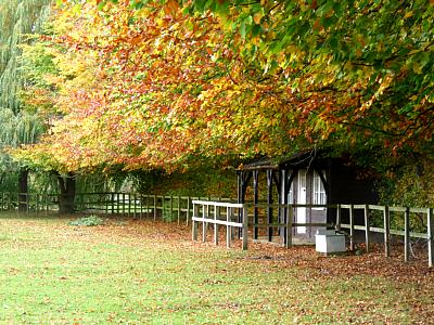 coverpic280.jpg - 47Kb