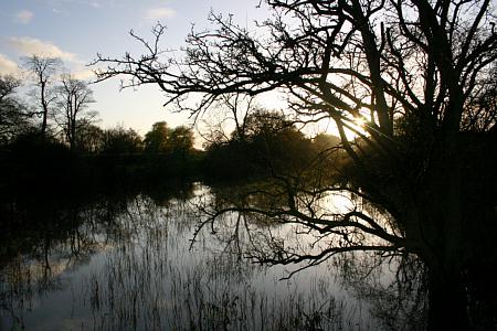 coverpic283.jpg - 38Kb