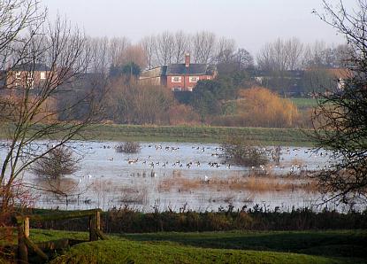 coverpic285.jpg - 31Kb