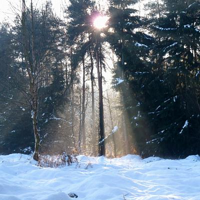 coverpic288.jpg - 40Kb