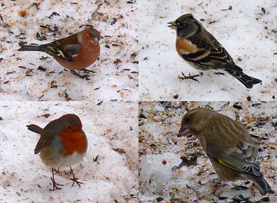 coverpic289.jpg - 33Kb