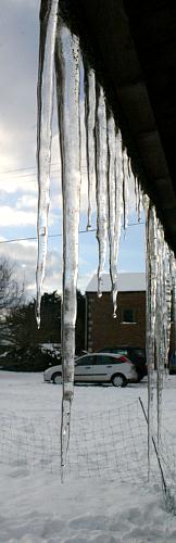 coverpic290.jpg - 16Kb