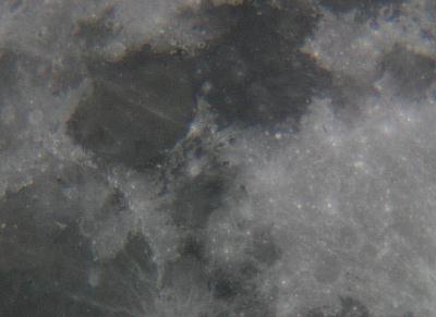 coverpic293.jpg - 13Kb