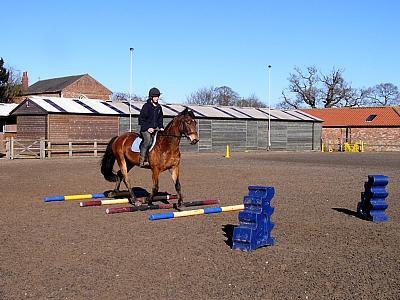 coverpic297.jpg - 28Kb