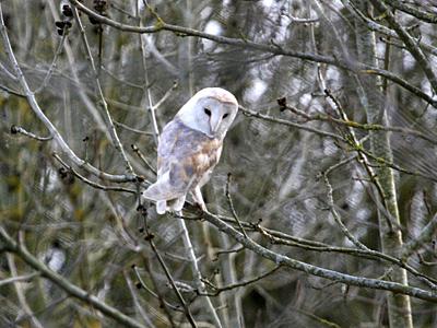 coverpic304.jpg - 24Kb