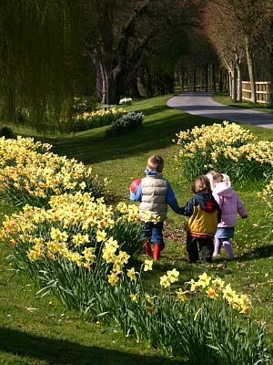 coverpic305.jpg - 40Kb