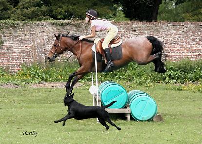 coverpic311.jpg - 36Kb