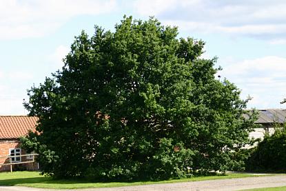 coverpic312.jpg - 30Kb