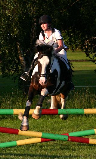 coverpic313.jpg - 40Kb