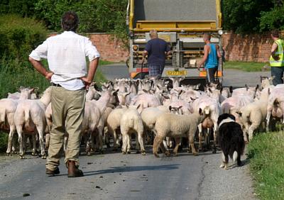 coverpic314.jpg - 29Kb