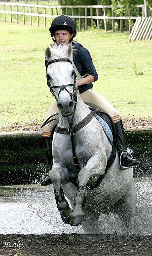 coverpic315.jpg - 49Kb