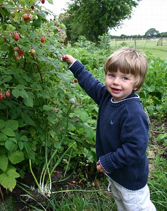 coverpic316.jpg - 41Kb