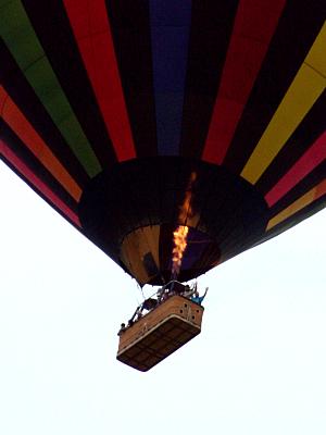 coverpic325.jpg - 12Kb