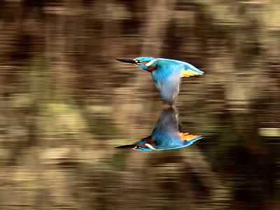 coverpic336.jpg - 20Kb