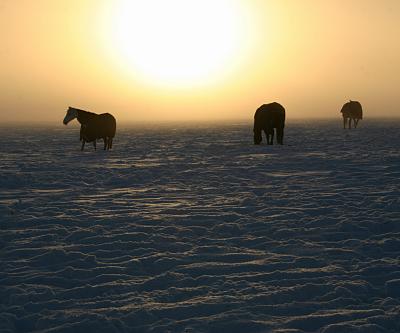 coverpic337.jpg - 18Kb