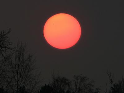 coverpic352.jpg - 7Kb