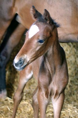 coverpic362.jpg - 20Kb