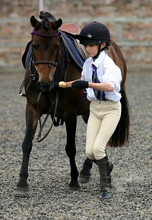 coverpic369.jpg - 32Kb