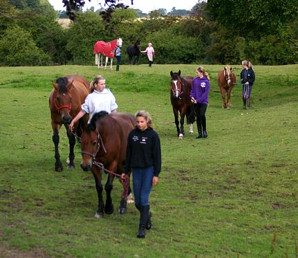 coverpic372.jpg - 37Kb