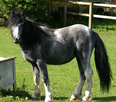 coverpic378.jpg - 32Kb