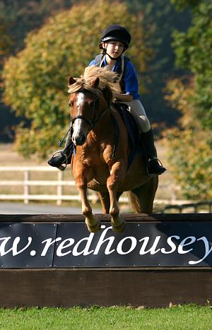 coverpic379.jpg - 30Kb