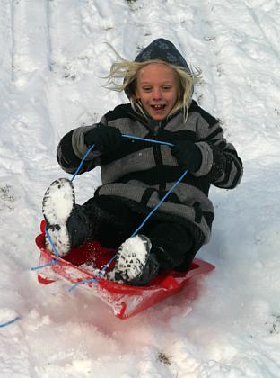 coverpic395.jpg - 22Kb