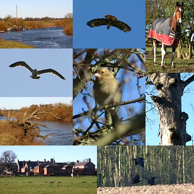 coverpic399.jpg - 40Kb