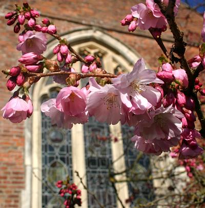 coverpic401.jpg - 37Kb