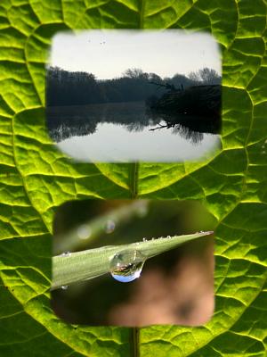 coverpic402.jpg - 22Kb