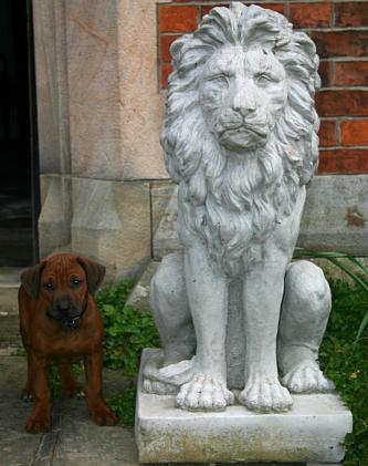 coverpic403.jpg - 26Kb