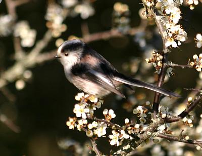 coverpic404.jpg - 25Kb