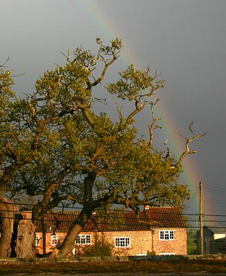 coverpic406.jpg - 30Kb