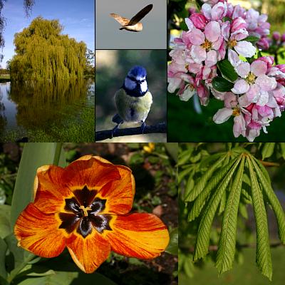 coverpic407.jpg - 38Kb