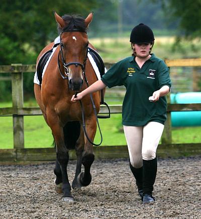 coverpic419.jpg - 38Kb