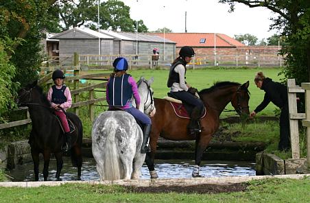 coverpic423.jpg - 37Kb