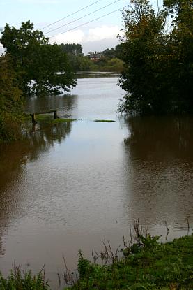 coverpic429.jpg - 22Kb