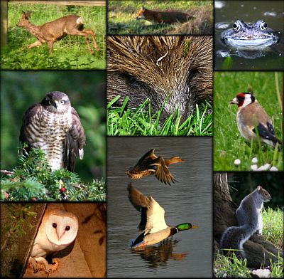 coverpic432.jpg - 50Kb