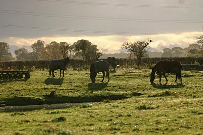 coverpic433.jpg - 25Kb