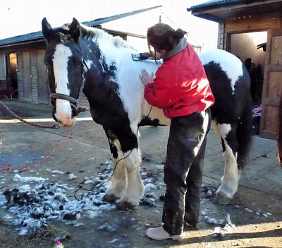 coverpic436.jpg - 31Kb