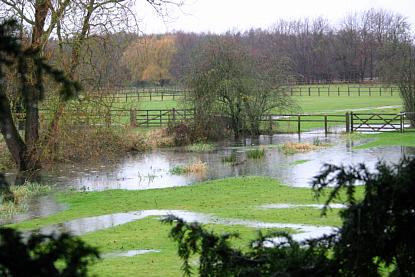 coverpic437.jpg - 28Kb