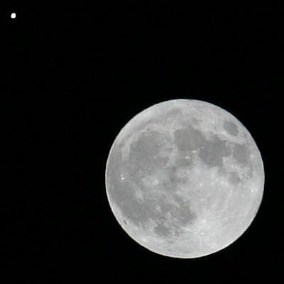 coverpic438.jpg - 9Kb